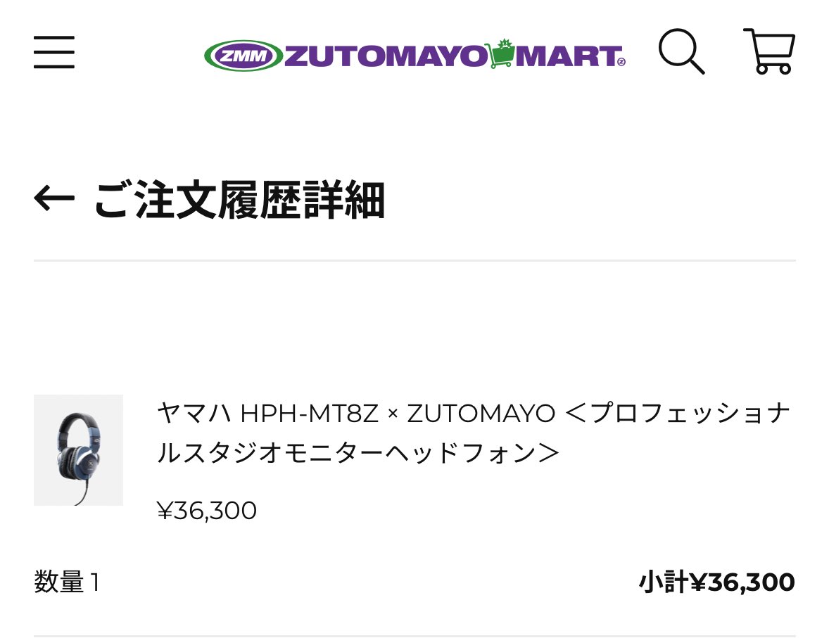 かなり久しぶりにFIIO製品以外のヘッドホンポチりました。ztmyコラボ楽しみです！