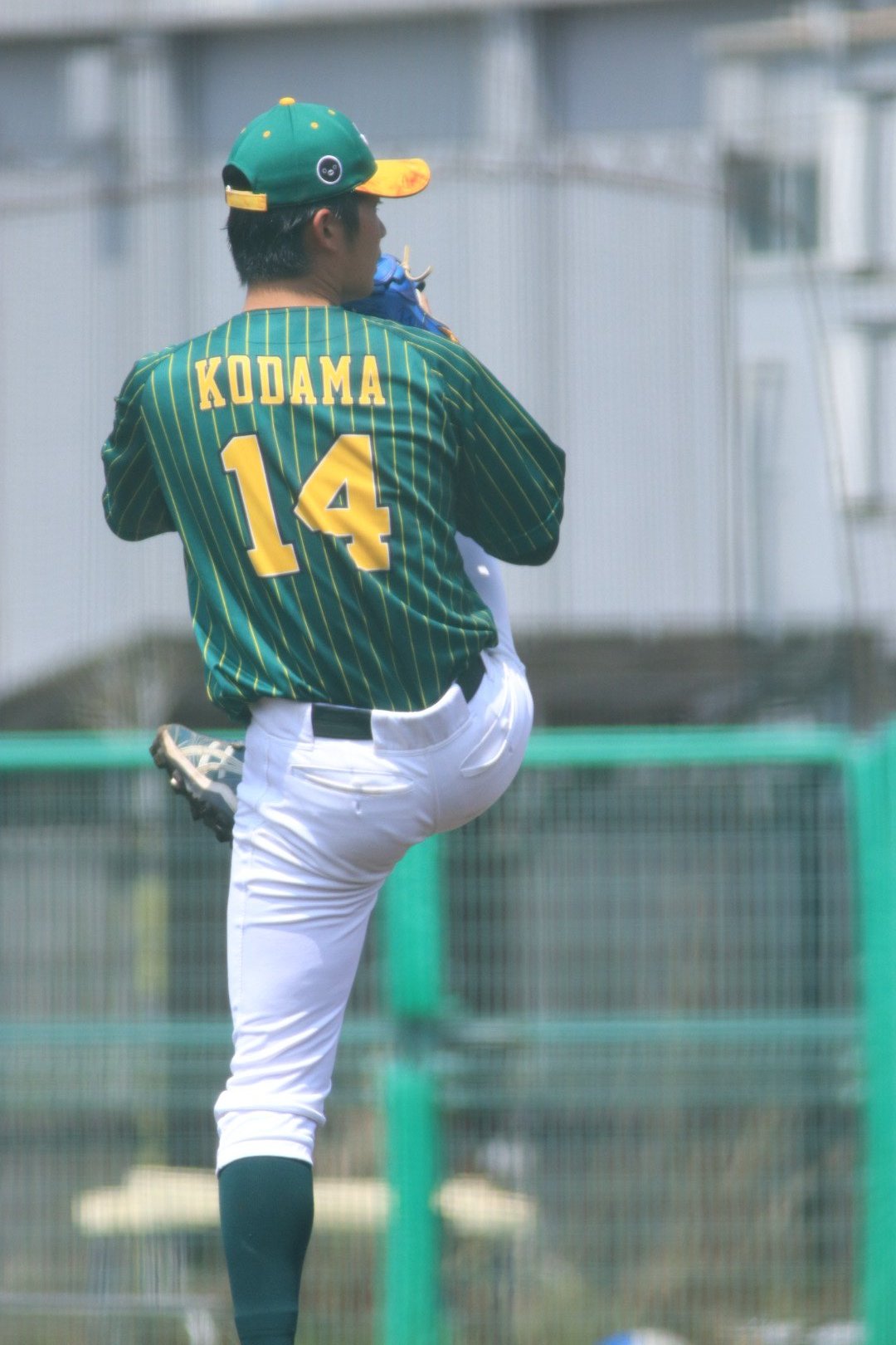 野球場大事典 意外と撮るチャンスが少ない整備されて綺麗なままのグラウンド