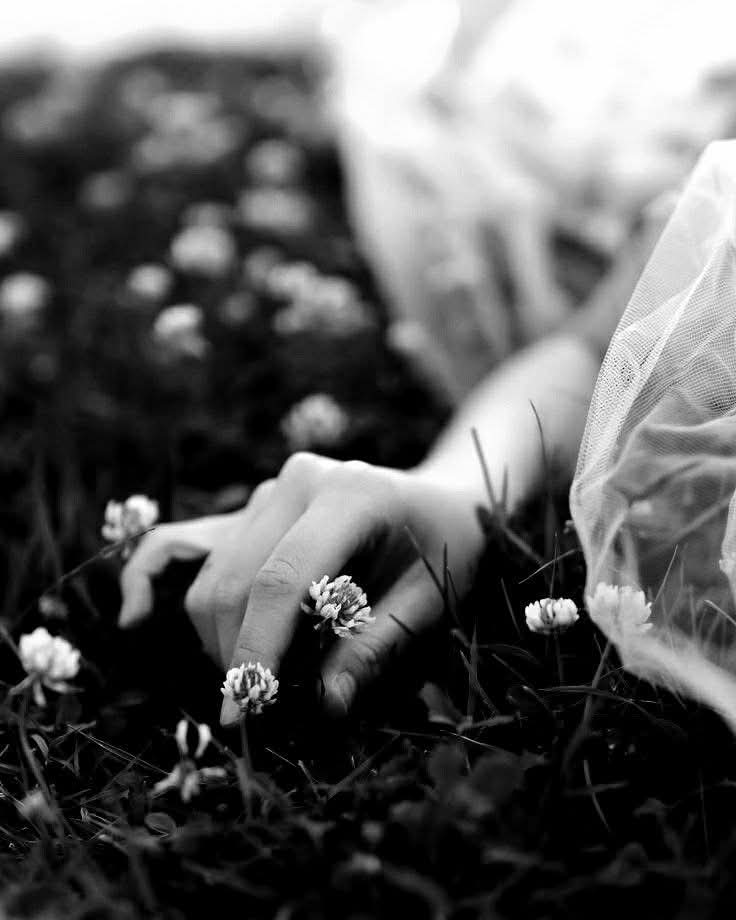 أميــــ الوائلي ــــر 🥀 tweet media