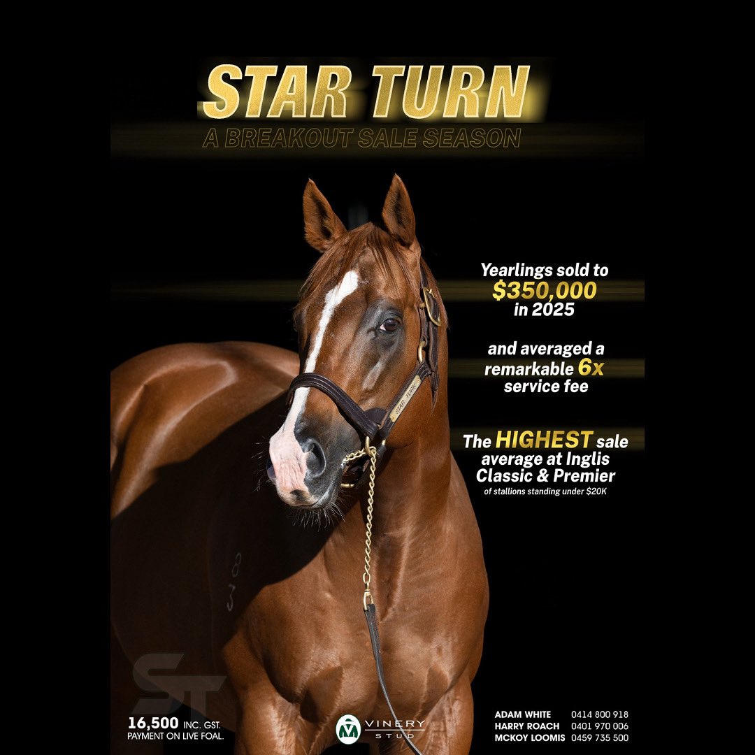 The 👑 Queen of the Valley Matchmaker race!  With the generous support of our Sponsors from Vinery Stud MRC is able to offer a Stallion Nomination as part of the prize pool for the QVM
Vinery have offered a STAR TURN nomination for 2025
<a href="/racing_nsw/">Racing NSW</a> <a href="/tabcomau/">TAB</a>
