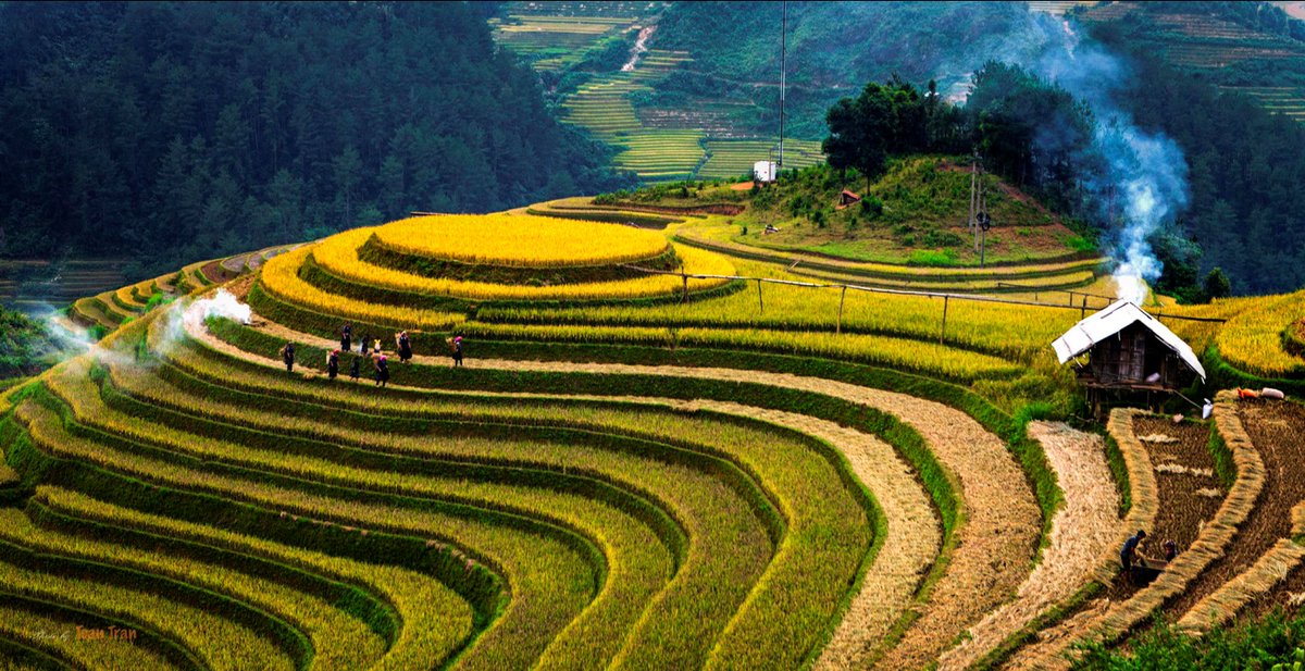Zinghomehagiang's tweet image. Golden season is here! ✨
September is the best time to see Ha Giang’s stunning rice terraces.
📍Book your trip today!
☎️WhatsApp: (+84)813682323
🌐 Website: zinghomehagiang.com
#zinghomehagiang #hagiangtrip #hagiangseptember #hagiangweather #motorbiketour #hagiangloop
