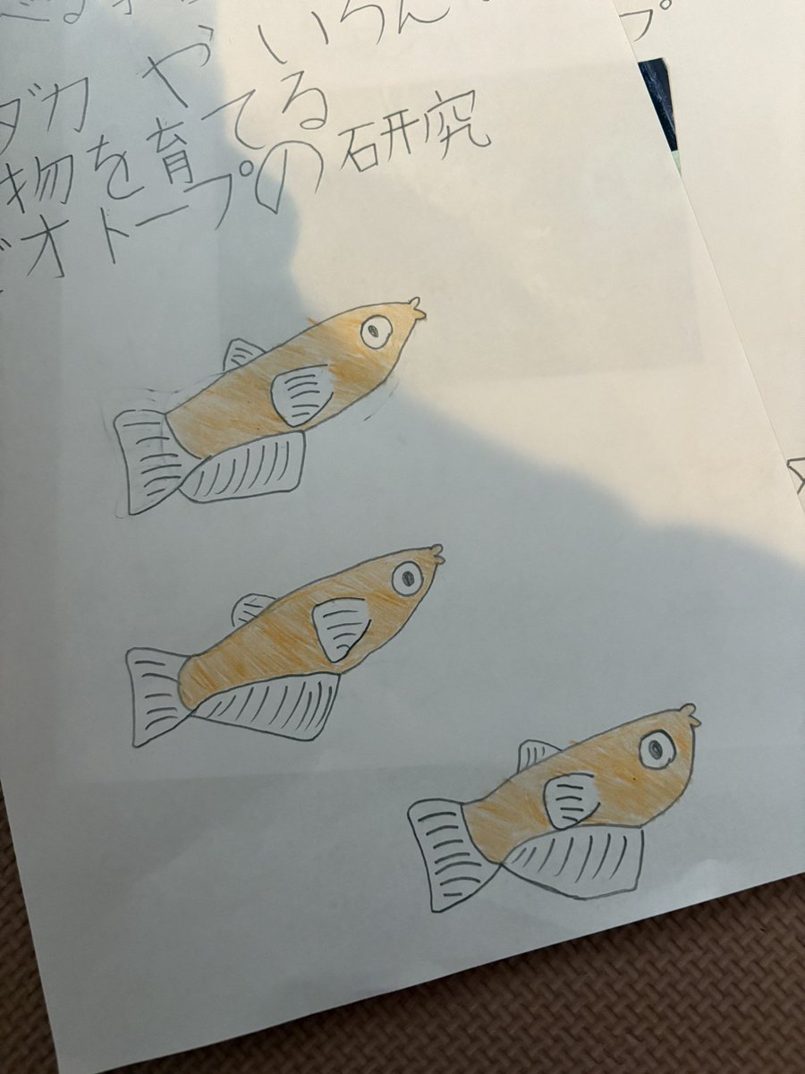 クロ(黒田　雄士)@型とデータの鬼 tweet media