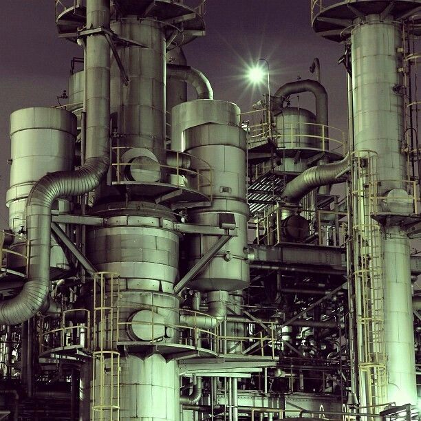 17525272901868291765377191994762551627829917365278 (@gopwbi7qqtwed9o) on Twitter photo 