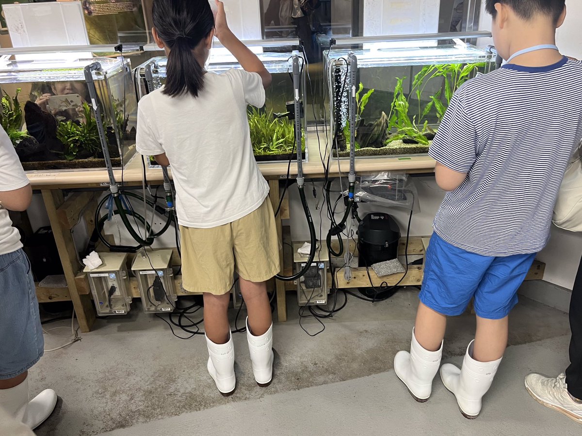 #菓匠三全 PRESENTS
第3回なつやすみ うみの杜ラボこども研究員
仙台うみの杜水族館にて本日開催いたしました🐬

実際に飼育員のお仕事を体験し、
うみの杜ラボでの希少生物などに対する取組みを
知っていただく機会となりました✨

菓匠三全はうみの杜ラボの取組みを応援しています。
#s_uminomori