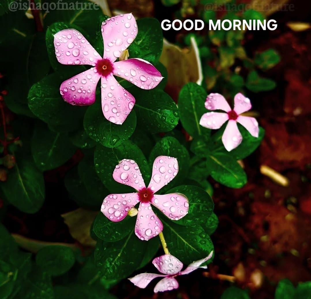 Good morning ज़िंदगी....