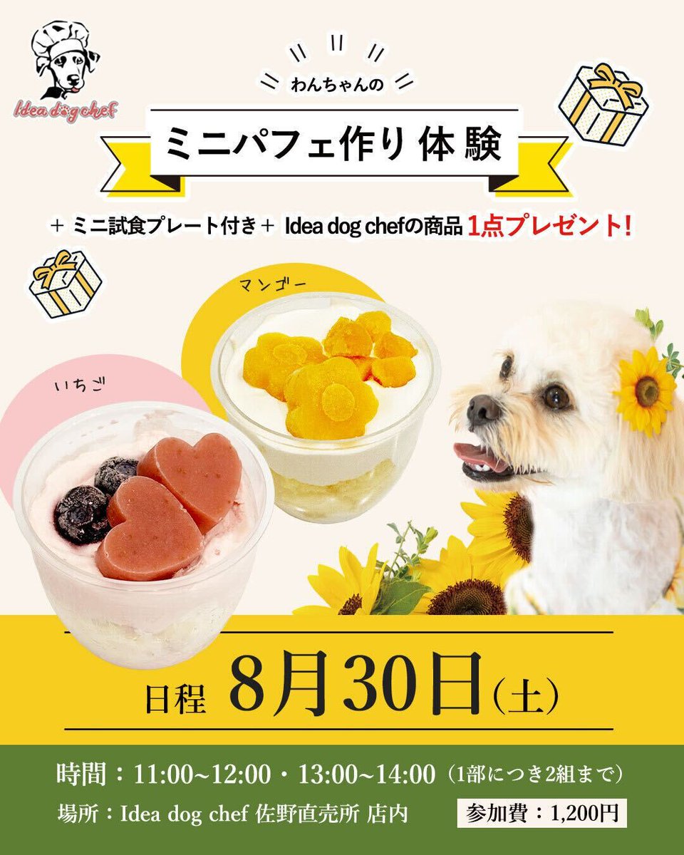 ドッグフード chocomint1989chan チワックス(チワワ×ダックスフンド)【岐阜県・男の子・2025年6月