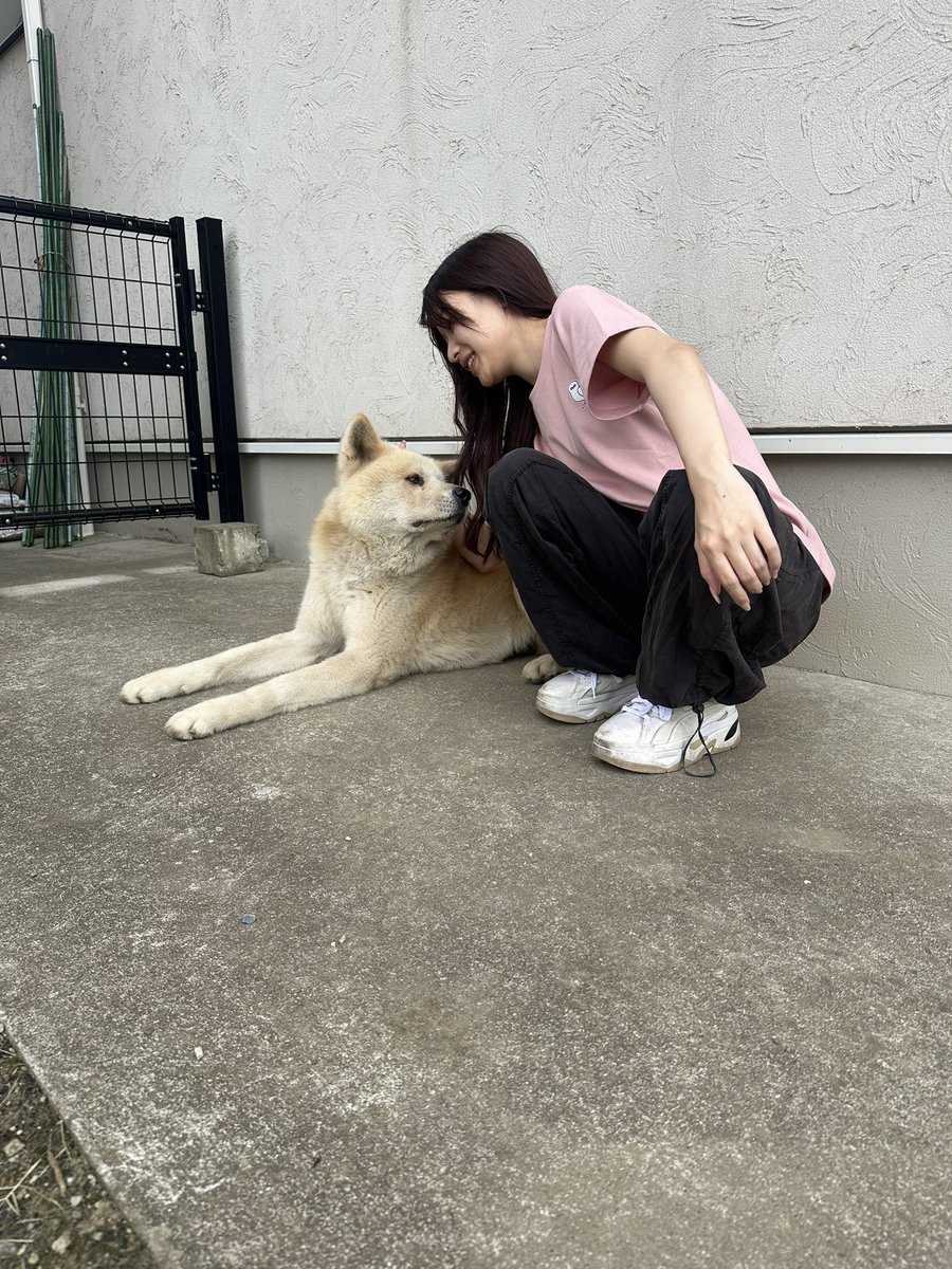 これはVAXEE LifeStyle Tシャツに興味津々なわんわんお🐕

あんたでっかいねぇ