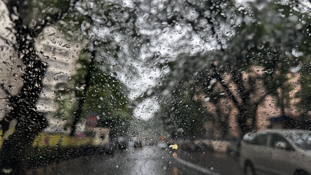 🌂