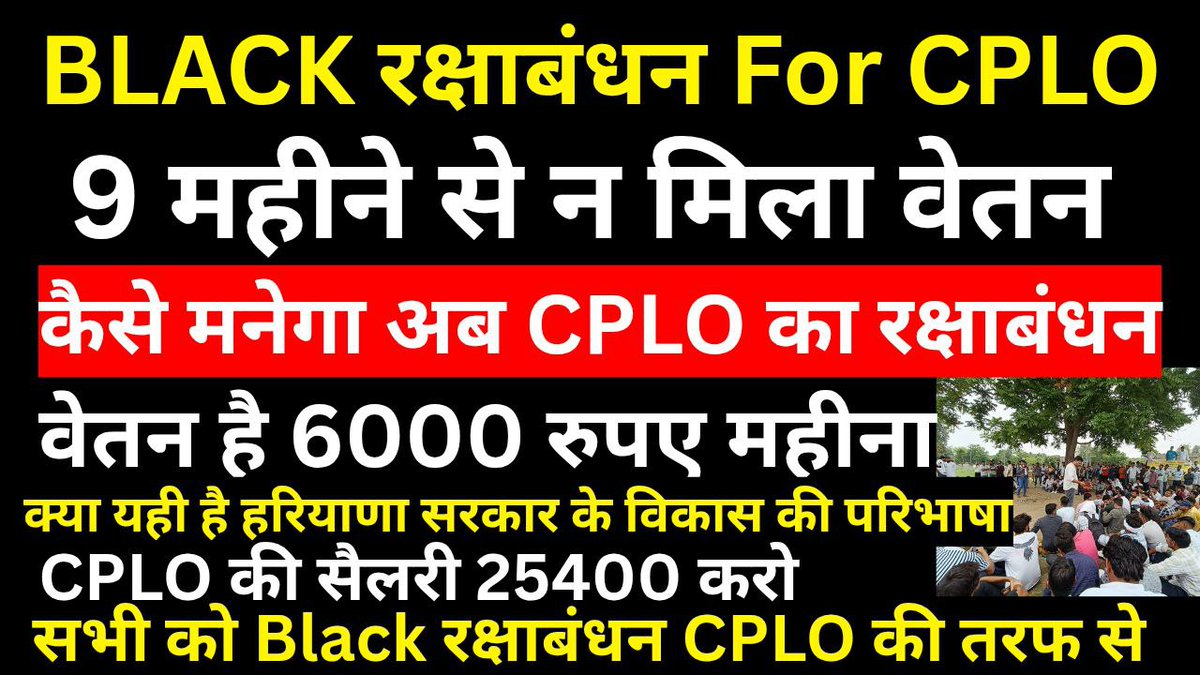 Officialcplo3500 tweet media