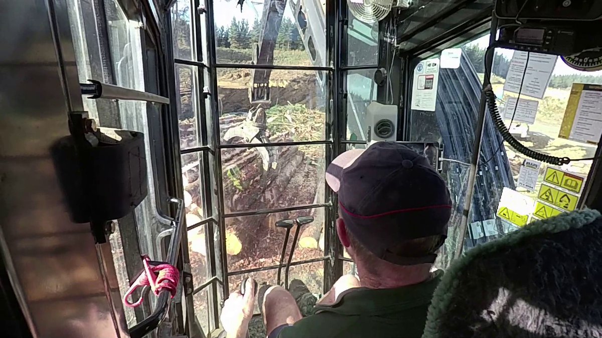 International Journal of Forest Engineering tweet media