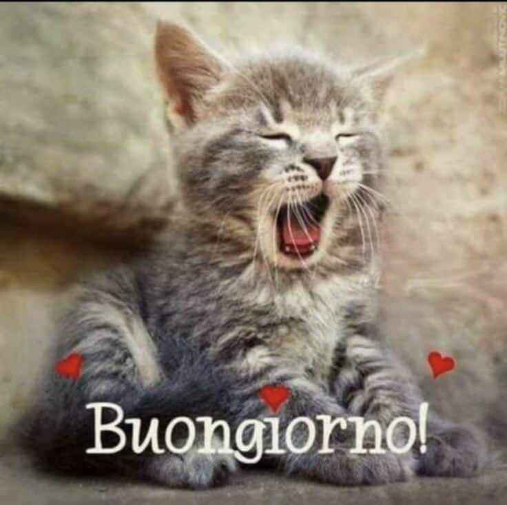 Buona giornata a tutti