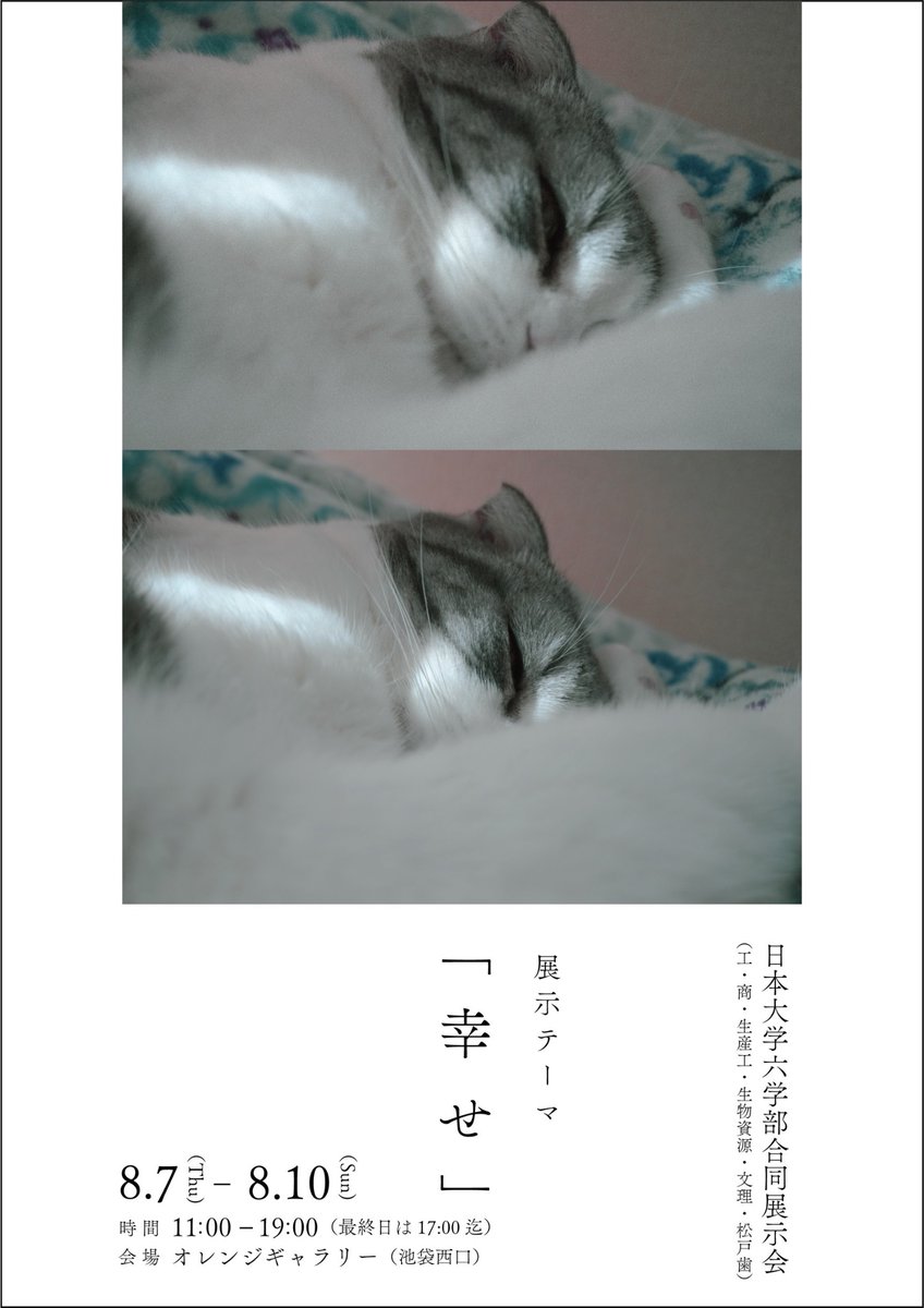 \合同展示会のお知らせ📢/
本日から4日間、池袋のオレンジギャラリーにて日本大学6学部合同の展示会を開催しております！
様々な作品をお目に入れるチャンスです👀
是非お越しください♪
#日本大学
#写真サークル
#展示会