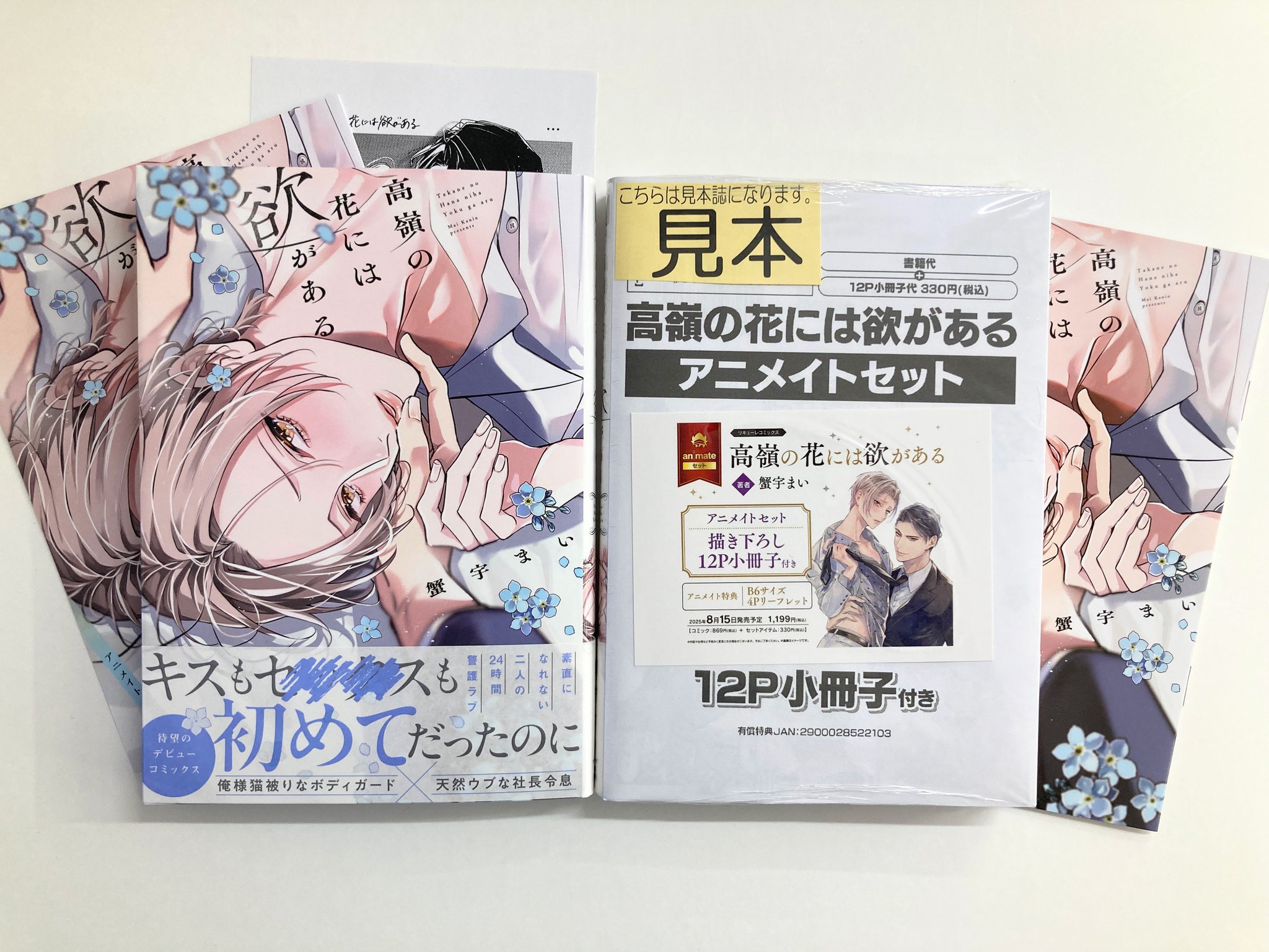 書店限定特典4Pリーフレット付商業BL23冊セット 商業BL 特典4pリーフレット、小冊子等 セット販売 ② - メルカリ