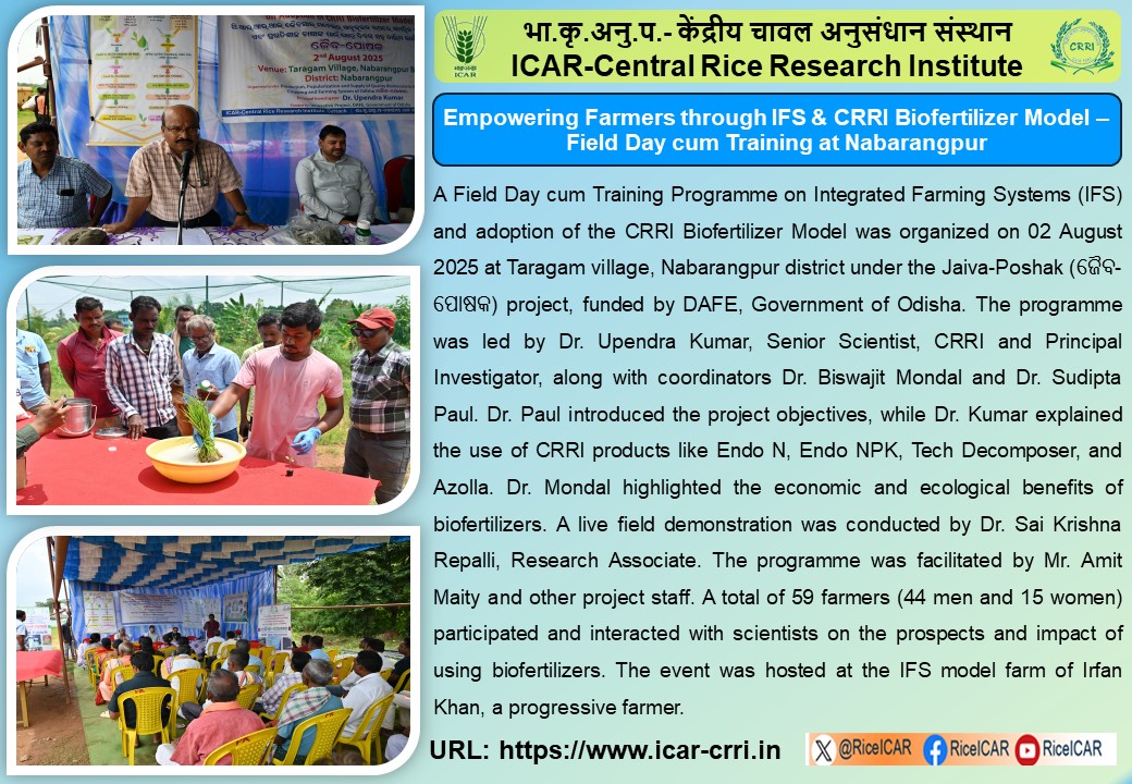 ICAR-Central Rice Research Institute, Cuttack (@riceicar) on Twitter photo Empowering Farmers through IFS & CRRI Biofertilizer Model - Field Day cum Training at Nabarangpur on 2nd August 2025. <a href="/RiceIcar/">ICAR-Central Rice Research Institute</a> <a href="/icarindia/">Indian Council of Agricultural Research.</a> <a href="/mygovindia/">MyGovIndia</a> <a href="/AgriGoI/">Agriculture INDIA</a> <a href="/DDKisanChannel/">Doordarshan Kisan - दूरदर्शन किसान</a> #FieldDayProgramme Empowering Farmers through IFS & CRRI Biofertilizer Model - Field Day cum Training at Nabarangpur on 2nd August 2025. <a href="/RiceIcar/">ICAR-Central Rice Research Institute</a> <a href="/icarindia/">Indian Council of Agricultural Research.</a> <a href="/mygovindia/">MyGovIndia</a> <a href="/AgriGoI/">Agriculture INDIA</a> <a href="/DDKisanChannel/">Doordarshan Kisan - दूरदर्शन किसान</a> #FieldDayProgramme