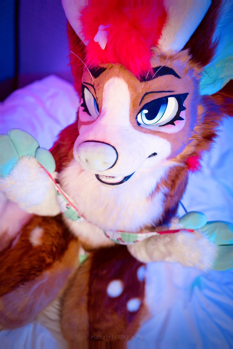 ❤️犬と遊んでみませんか？❤️
✂️:me
`#Furry`#Fursuit``#FursuitMaker``#FursuitFriday` `#FursuitPhotoshoot