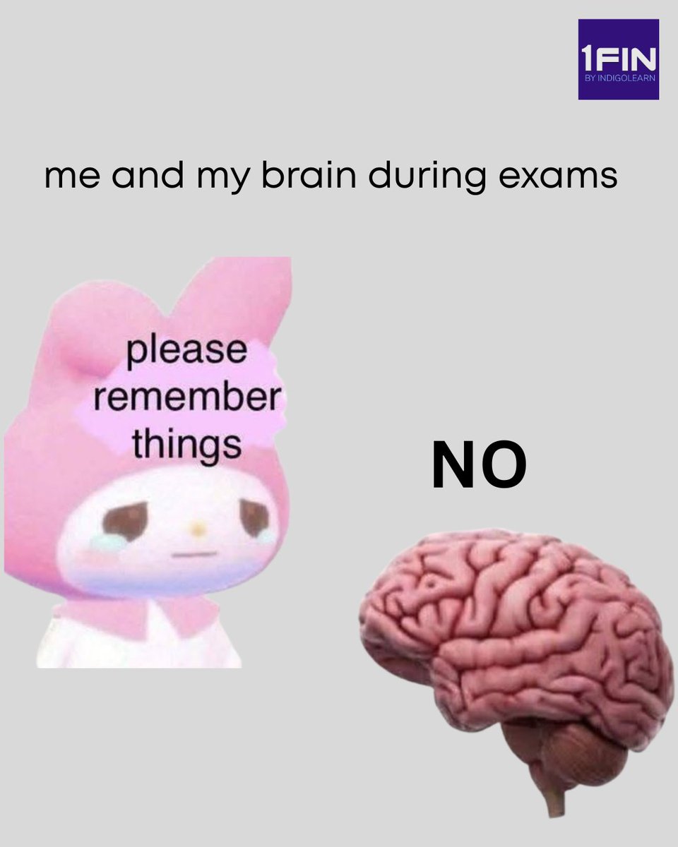IndigoLearn's tweet image. That one moment during exams when your brain decides to forget everything you studied 😩🧠

#ExamMood #StudyStruggle #CAExams #FoundationPrep #StudySupport #MemoryLoss #SmartStudy #ExamHumor