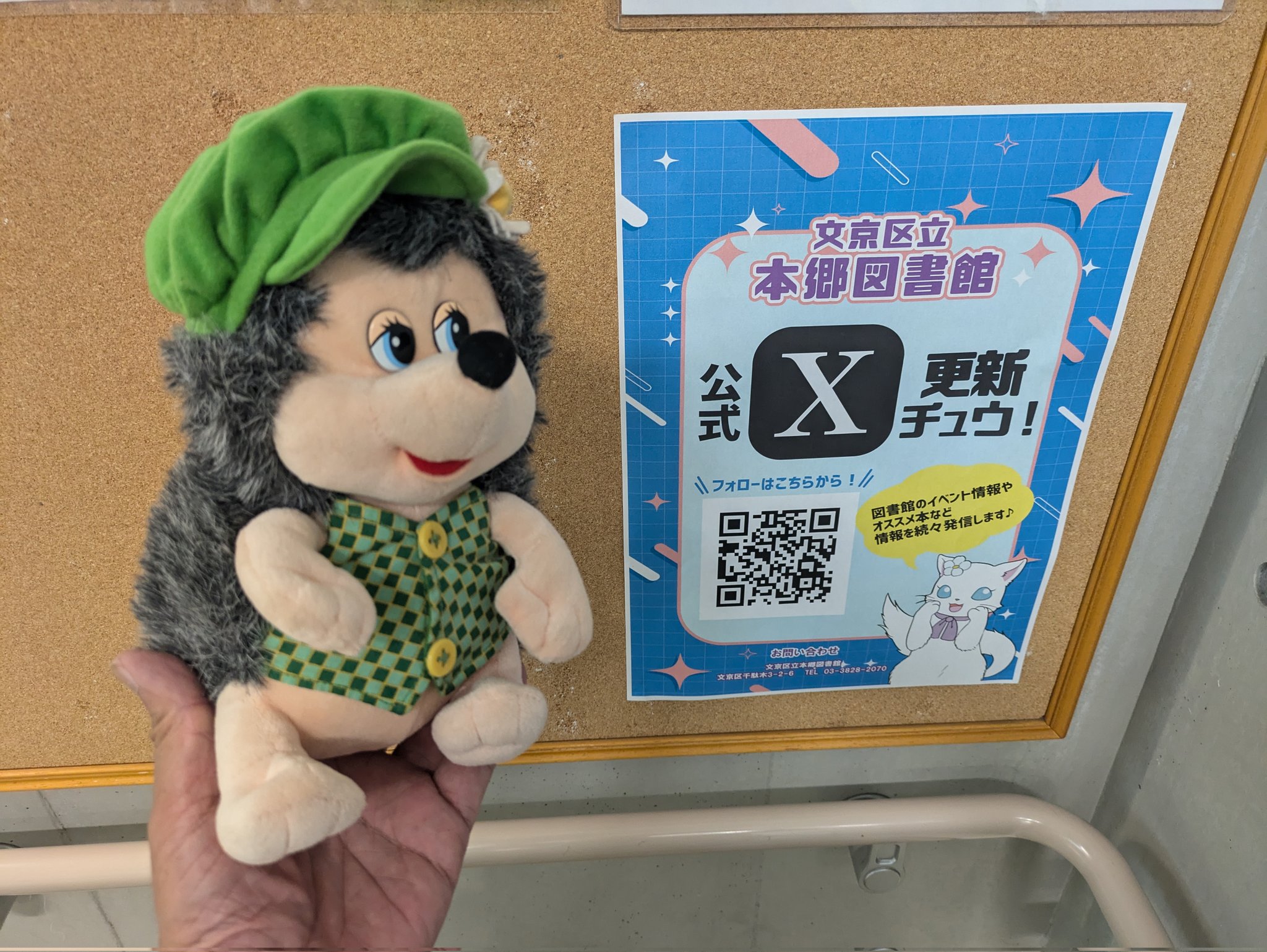 3点まとめ　耕ちゃんページ mqdefault.jpg