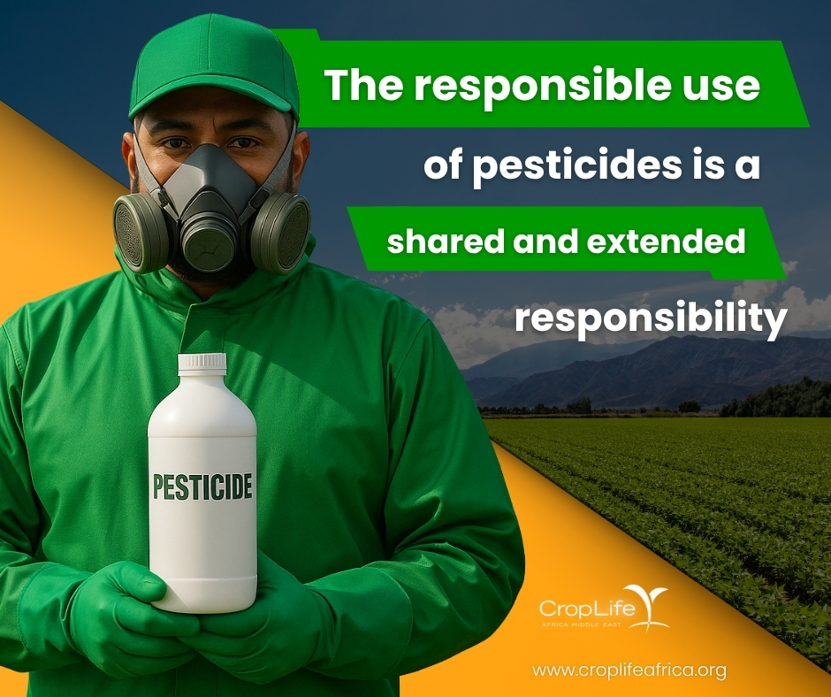 CropLife Africa Middle East (@croplifeame) on Twitter photo Safer crop protection = safer food 🌍
IPM, PPE & proper use cut residues by 75%, boost pollinator health & protect communities. #CropLifeAfrica #ResponsibleUse #SustainableFarming 🔗 croplifeafrica.org Safer crop protection = safer food 🌍
IPM, PPE & proper use cut residues by 75%, boost pollinator health & protect communities. #CropLifeAfrica #ResponsibleUse #SustainableFarming 🔗 croplifeafrica.org