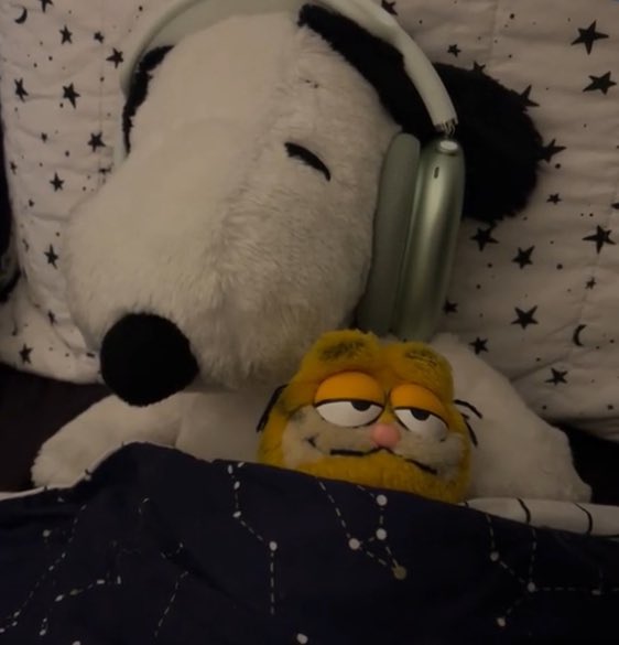 Snoopy and Garfield!