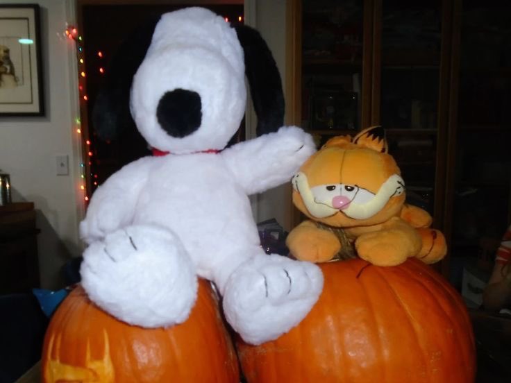 snoomfies's tweet photo. Snoopy and Garfield! https://t.co/MKY1CF1nb1
