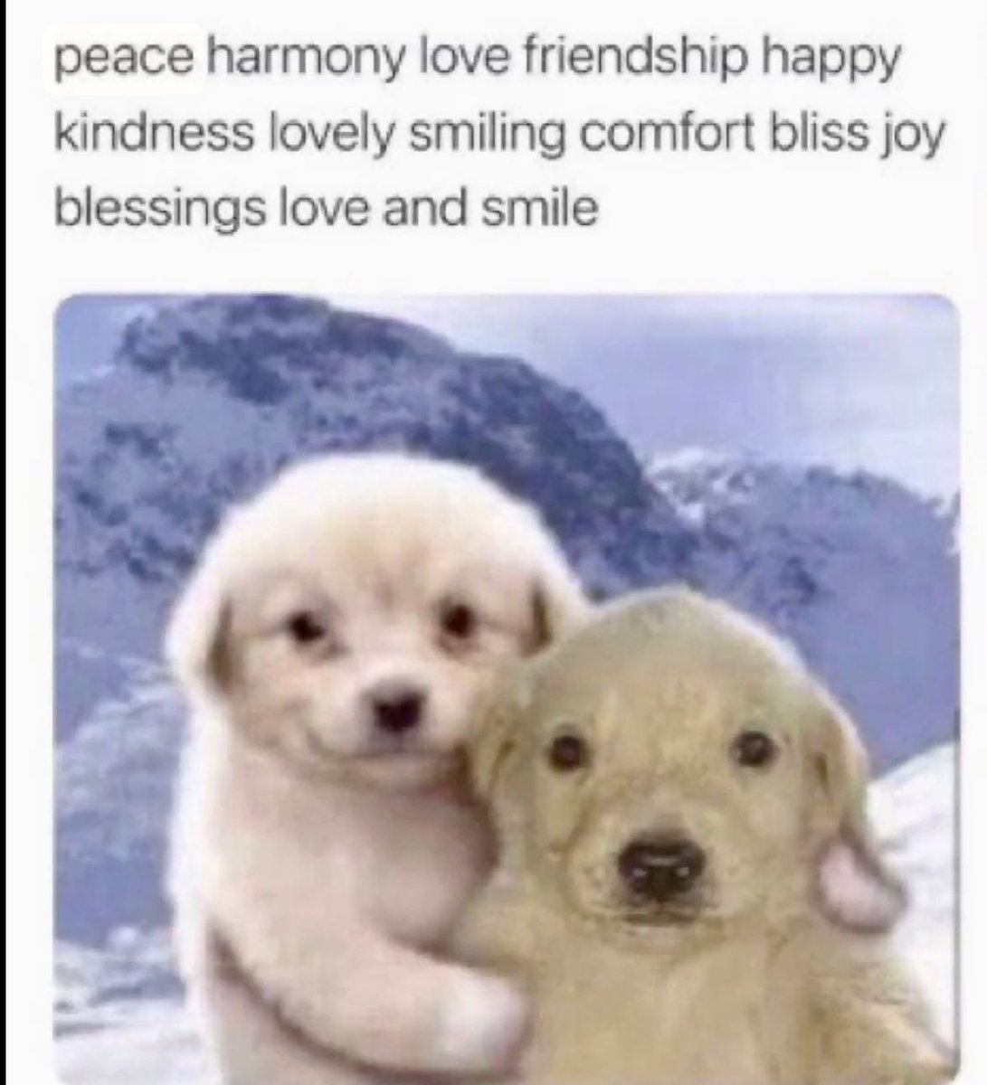 my man when he gets to look at or touch my gigantic tits