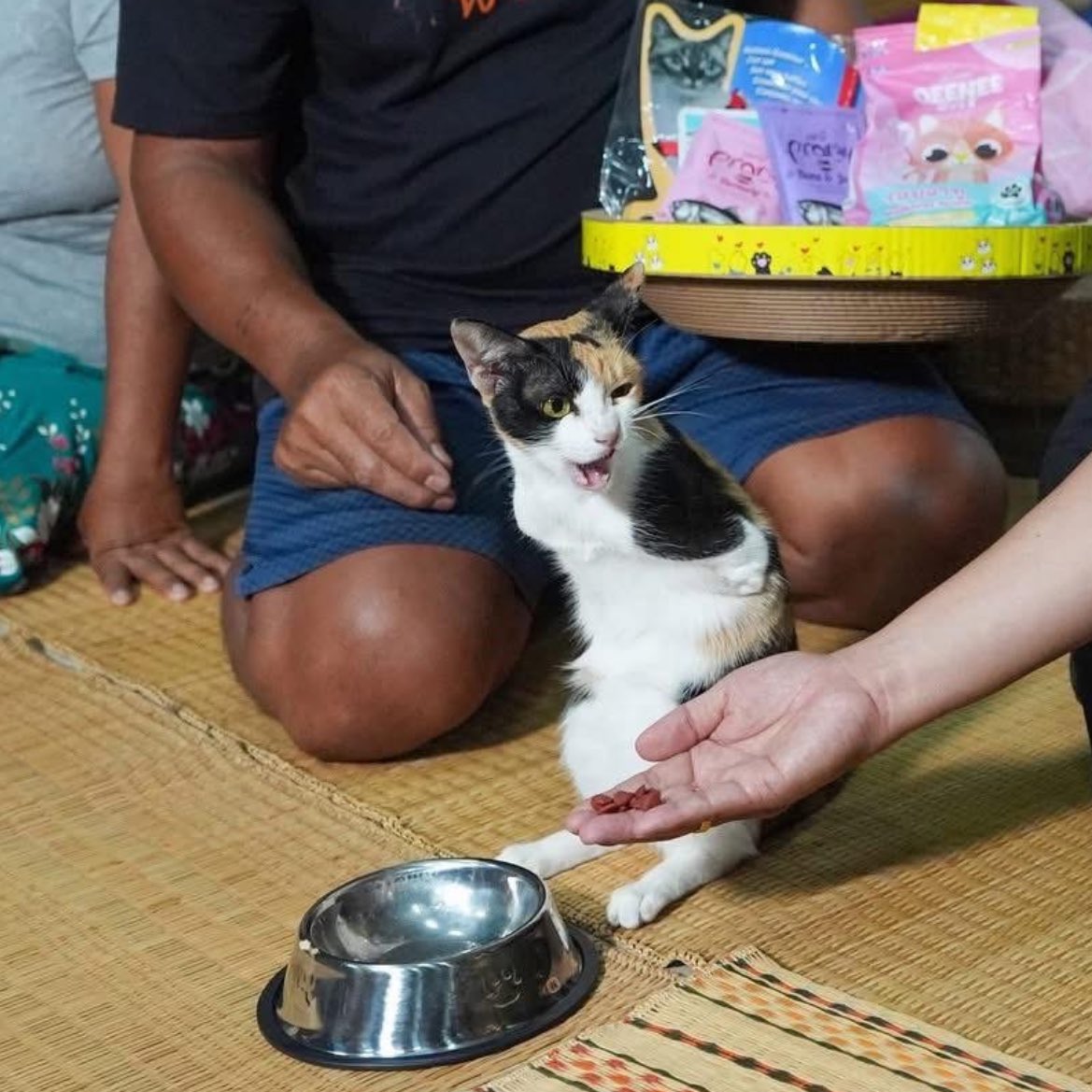 รับบทนางวีน จะกินเองค่ะอย่าป้อน ไม่มีแขนแต่มีปาก1 บูลลี่ทางอ้อม
