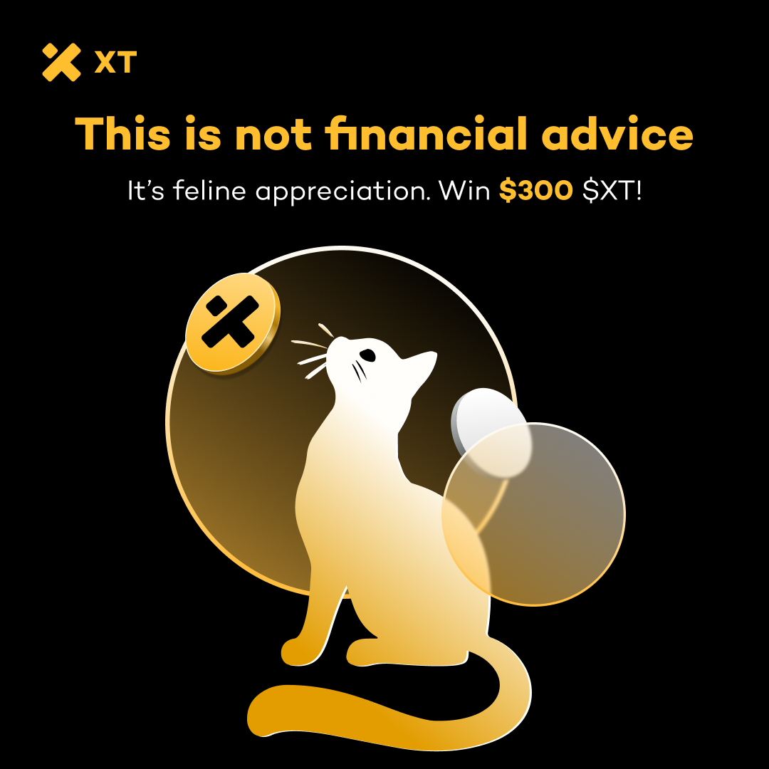 🐾 It’s International Cat Day – let’s fill the comments with felines!

🎁 Show off your kitty &amp; win $300 in $XT!

1⃣ Follow + RT + ❤️
2⃣ Comment with a cute cat photo
3⃣ Register via: xt.com/en/accounts/re… &amp; drop your new XT UID

#XTairdrop #Giveaway #Airdrops