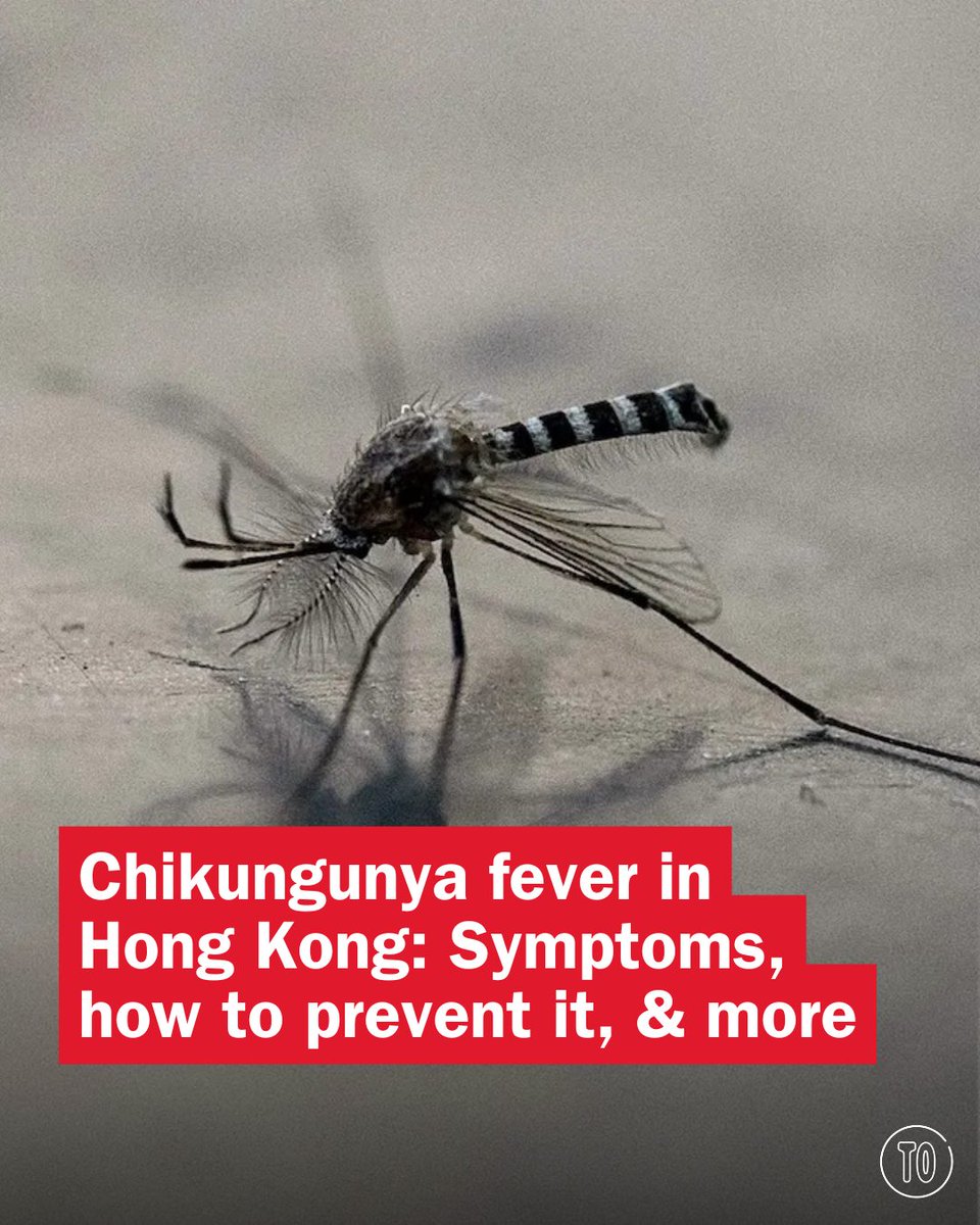 Time Out Hong Kong tweet media