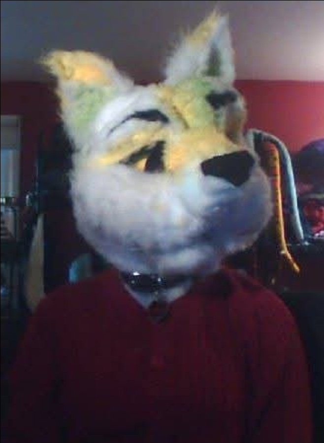 ☆ kiral☆ tweet media