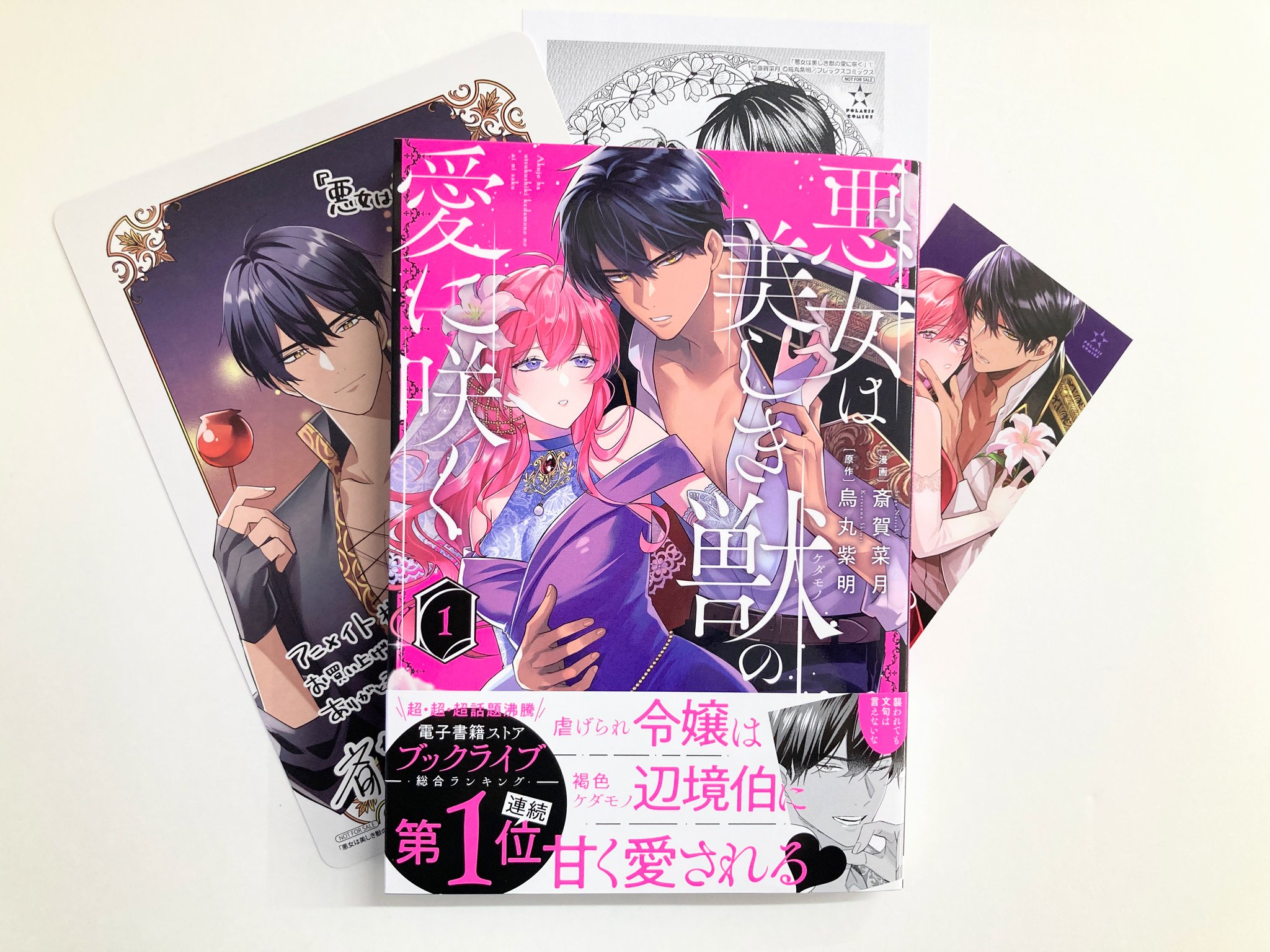 きんとうか 宗定編 アニメイト特典 小冊子