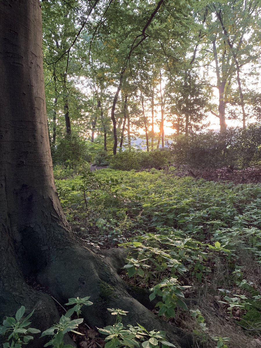 Frank van der Wal (@frank_wal) on Twitter photo Morge <a href="/loopmaatjes/">Loopmaatjes</a> , dag lekker opgestart. Snel douchen en dan naar Brabant en retour naar Amsterdam. Werk en doe ze weer vandaag โ๐ป Morge <a href="/loopmaatjes/">Loopmaatjes</a> , dag lekker opgestart. Snel douchen en dan naar Brabant en retour naar Amsterdam. Werk en doe ze weer vandaag โ๐ป