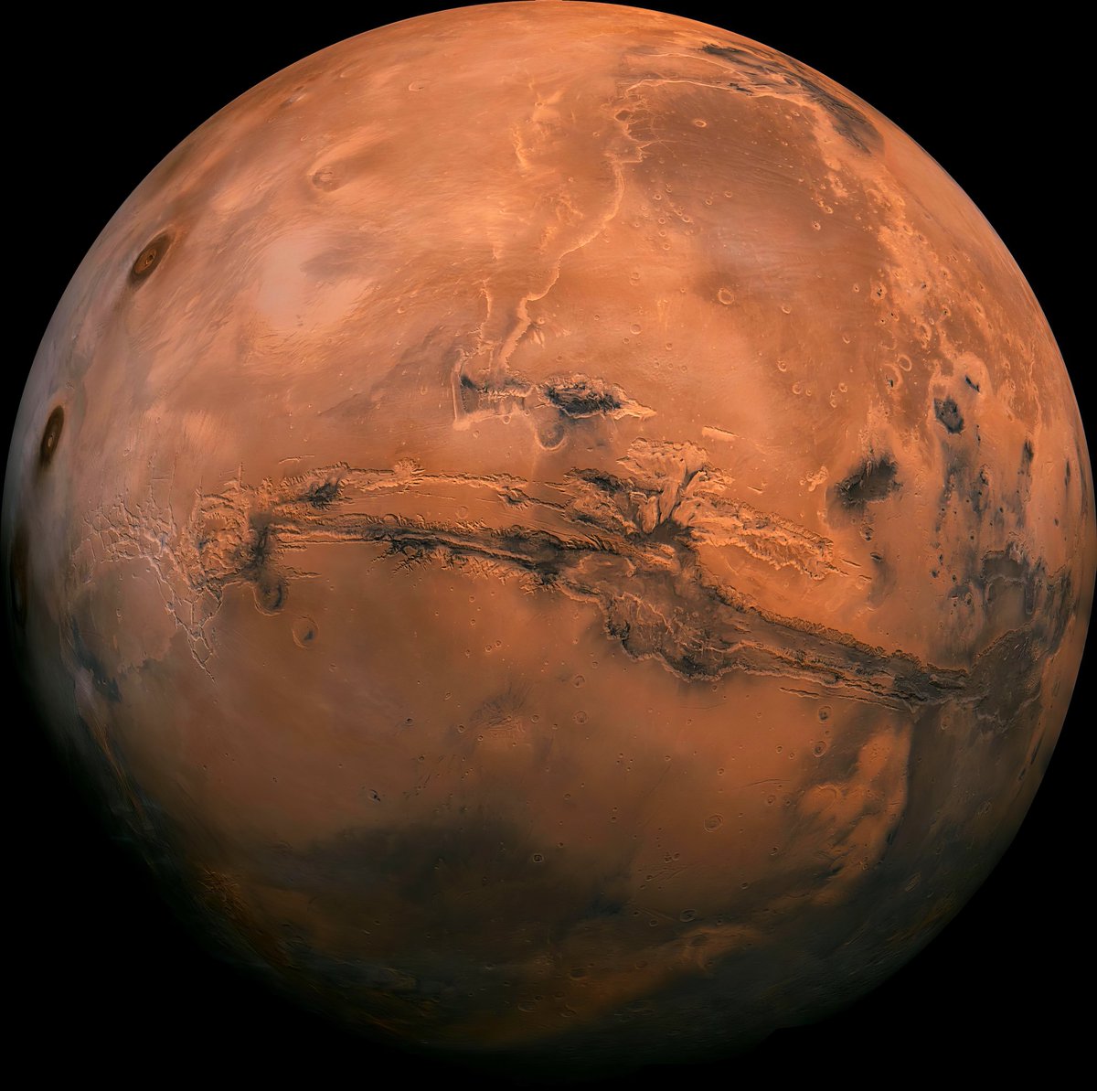 Astronomiaum tweet media