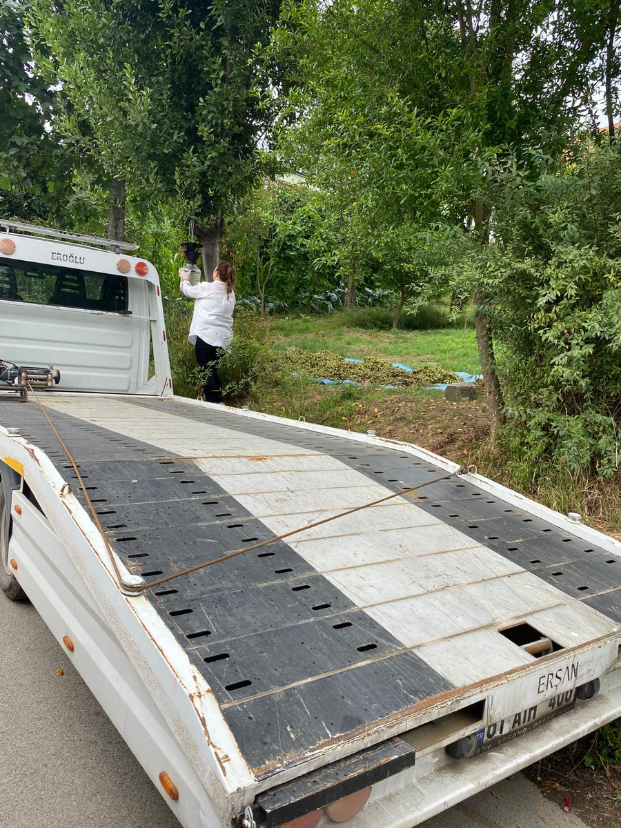 Arsin İlçe Tarım ve Orman Müdürlüğümüz tarafından yapılan feromon tuzak kontrolleri kapsamında,
kahverengi kokarca zararlısına yönelik izleme çalışmaları devam etmektedir.<a href="/TCTarim/">T.C. Tarım ve Orman Bakanlığı</a> <a href="/ibrahimyumakli/">İbrahim Yumaklı</a> <a href="/Bugemtr/">Bitkisel Üretim Genel Müdürlüğü</a>
