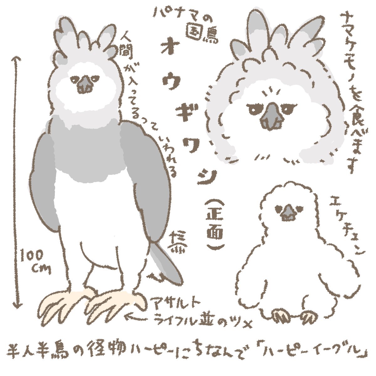 おはようございます☀️
お疲れ様です！8月8日(金)の朝です。

TLにオウギワシさんが流れてきたので
正面顔がかわいい