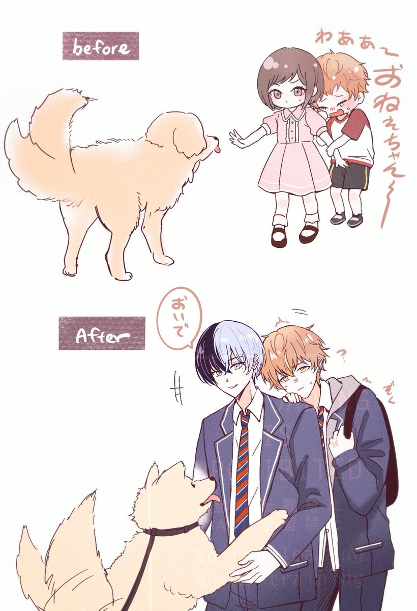 昔と今の保護者🐶
冬彰