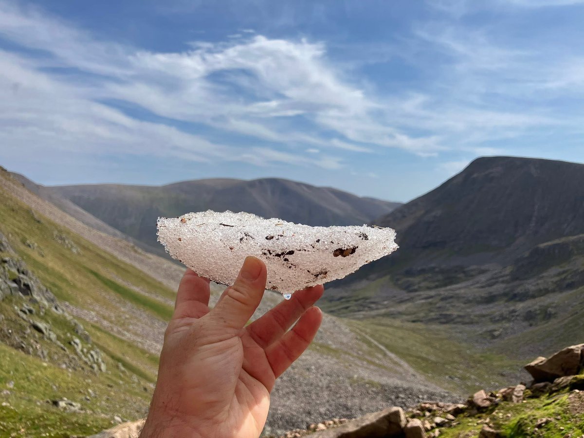 Iain Cameron tweet media