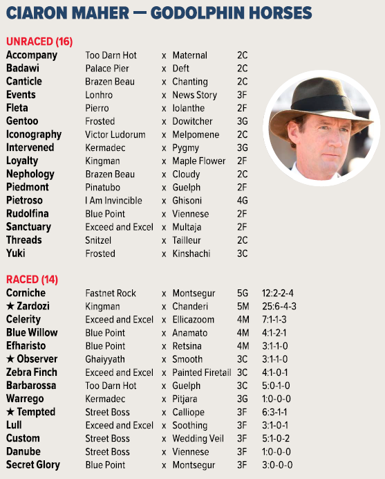 Carl Di Iorio tweet media