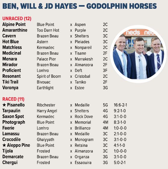 Carl Di Iorio tweet media