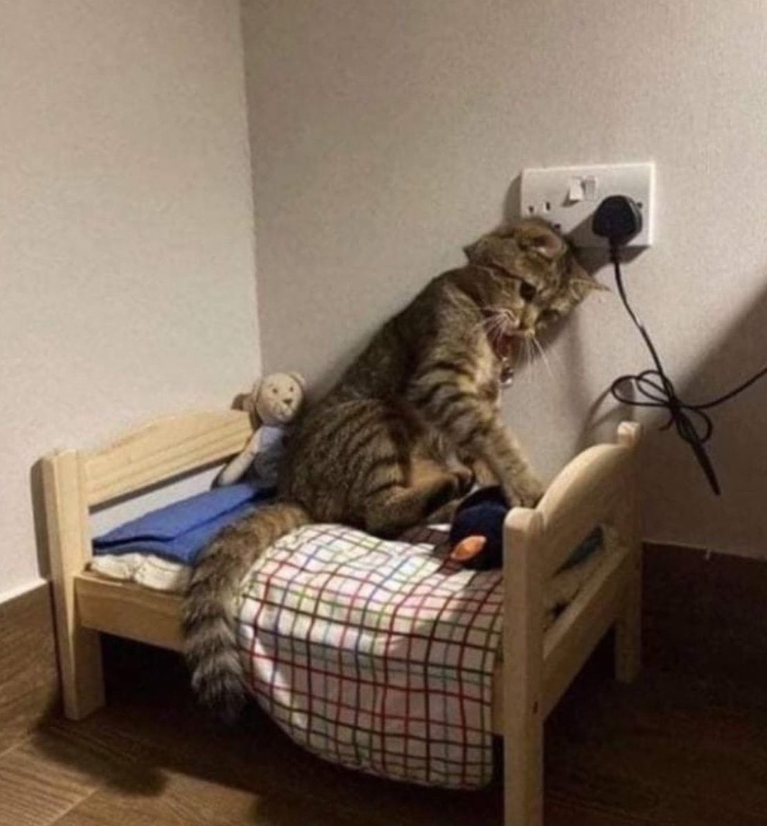 Tomorrow will be better