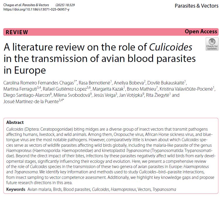 Wimanet People are publishing!! Check this new review about  #Culicoides🪰 and their role in the transmission of #AvianBloodParasites 🦠🐦‍⬛
👇
pmc.ncbi.nlm.nih.gov/articles/PMC12…