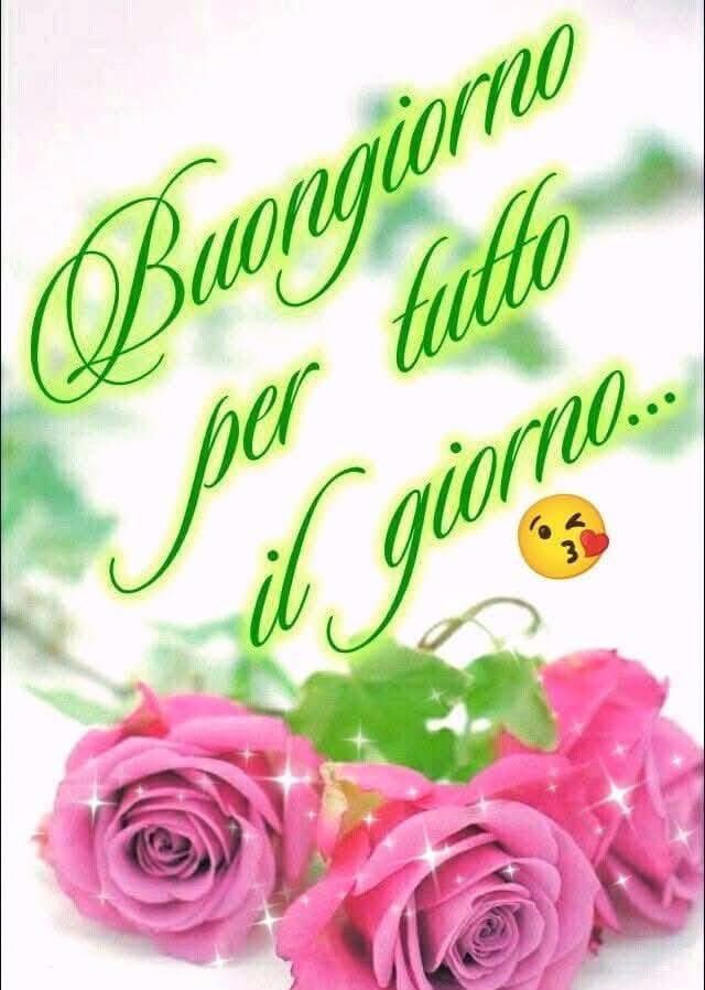 RITABIANCHi56 tweet media