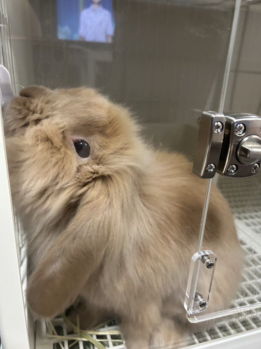 有田 満弘 Illustrator on X: 