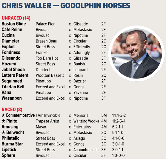 Carl Di Iorio tweet media