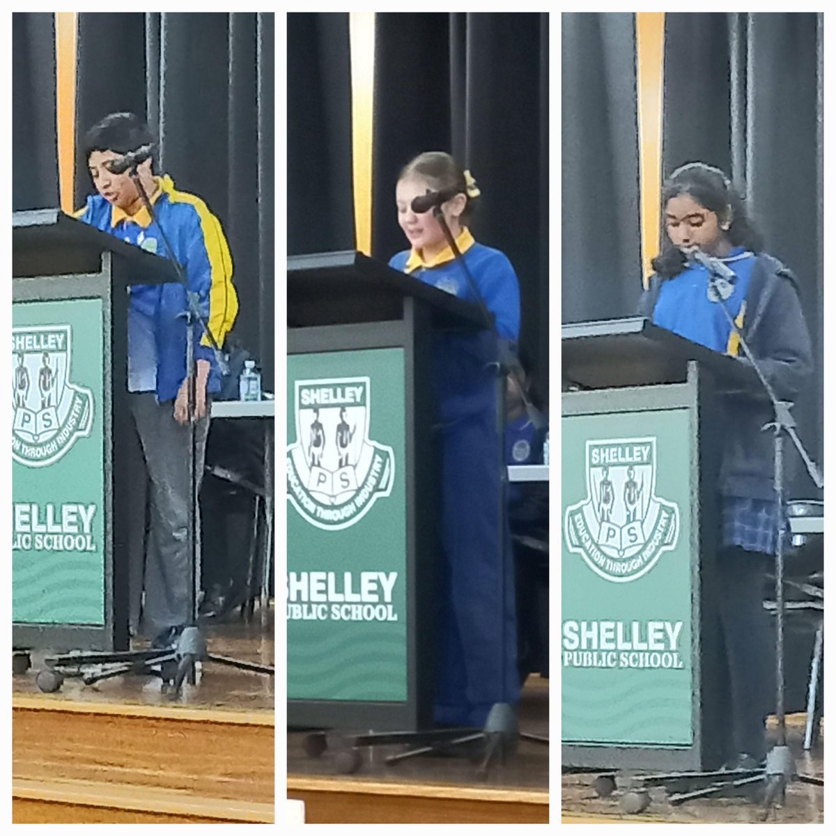 Quakers Hill Public School tweet media