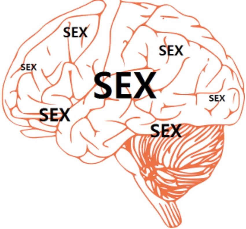 👸'여성'우대카페 💕
🚀매주 플을 원하는 여성분들의 구인활동
🤴남자가 부족하닷 물론 존잘대물남자
❤️많은성향자분들이 활동하는곳
💏한달에 한번 정기모임
▶️여행두하구 플도즐기구
🚫다른곳과 비교불가 존잘존예성향자들
네이버 카페로 초대합니다.
naver.me/IxKbKVAM
From 쥬스대전 멜돔