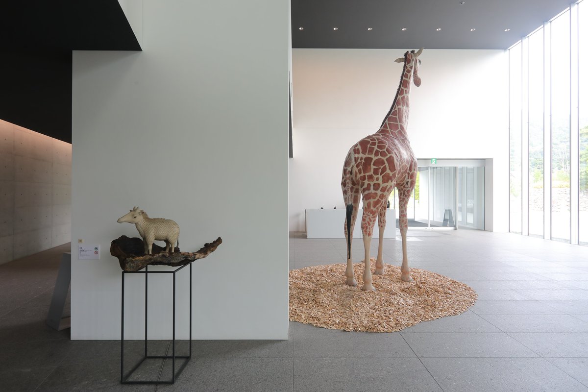 企画展「いきものの森」いきものご紹介！①／ 当館1階エントランスでは