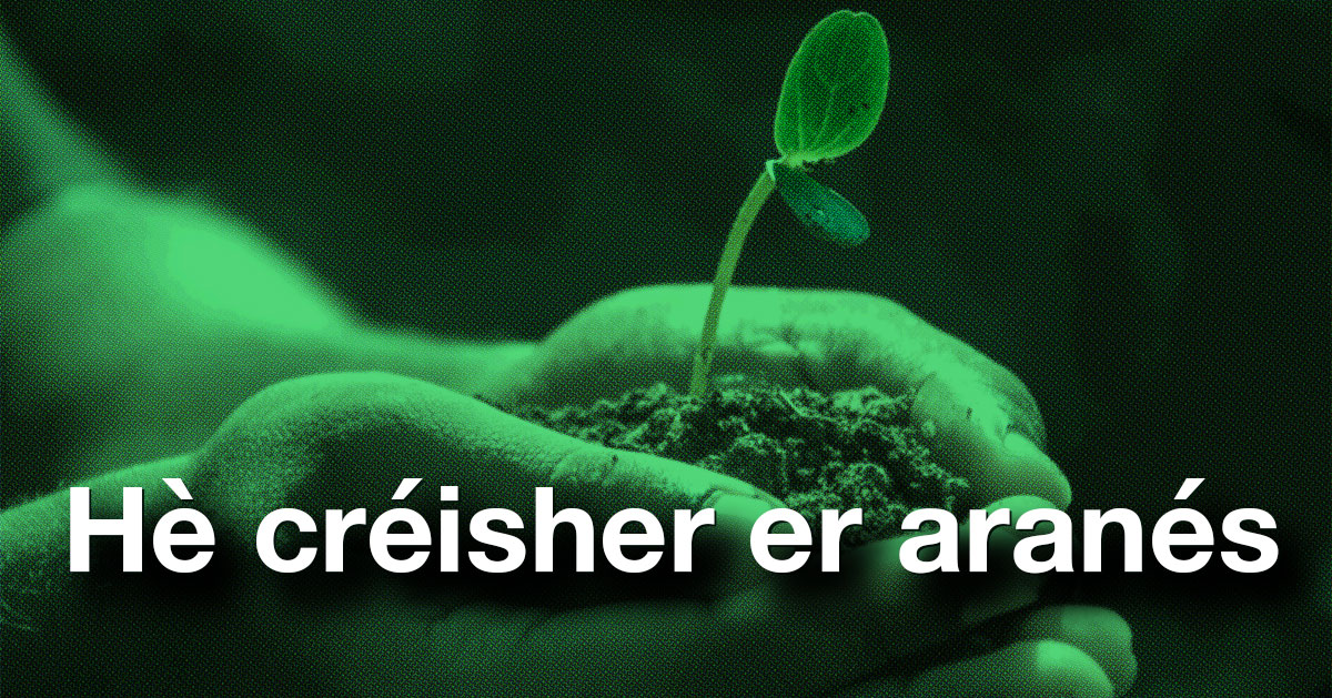 🔎💬 Er ostiu ei un bon moment entà [re]connectar damb er aranés, e entà podé’c hèr prepausam ua seguida de corsi en linha, diccionaris, musica, mejans, recorsi lingüístics e molt mès 📚🎧🎬

👉 llengua.gencat.cat/oc/occita/50_r…

#Aranés #Occitan