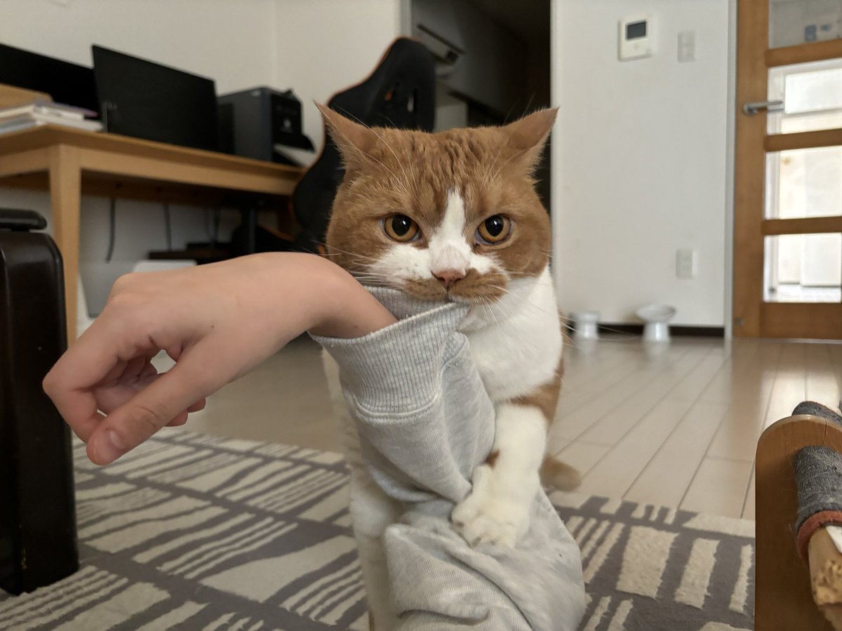 tw_subnenn's tweet image. おはよ、やめれる？