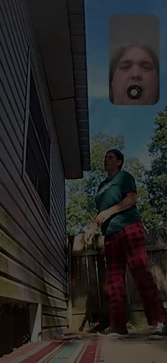 BlogSeahorse's tweet image. 