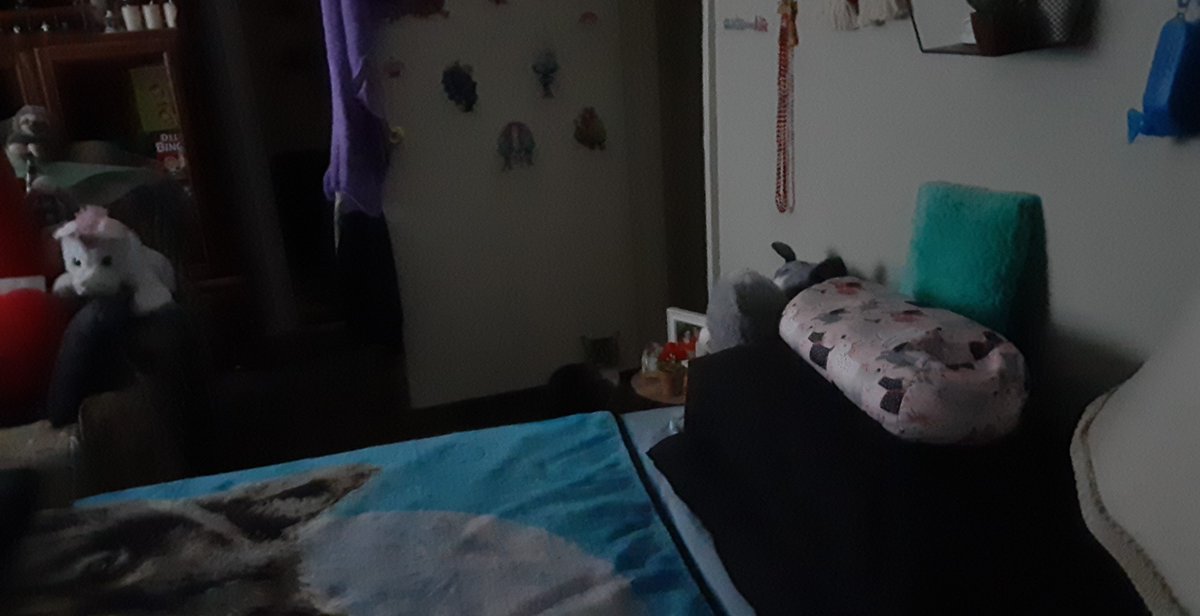 BlogSeahorse's tweet image. 